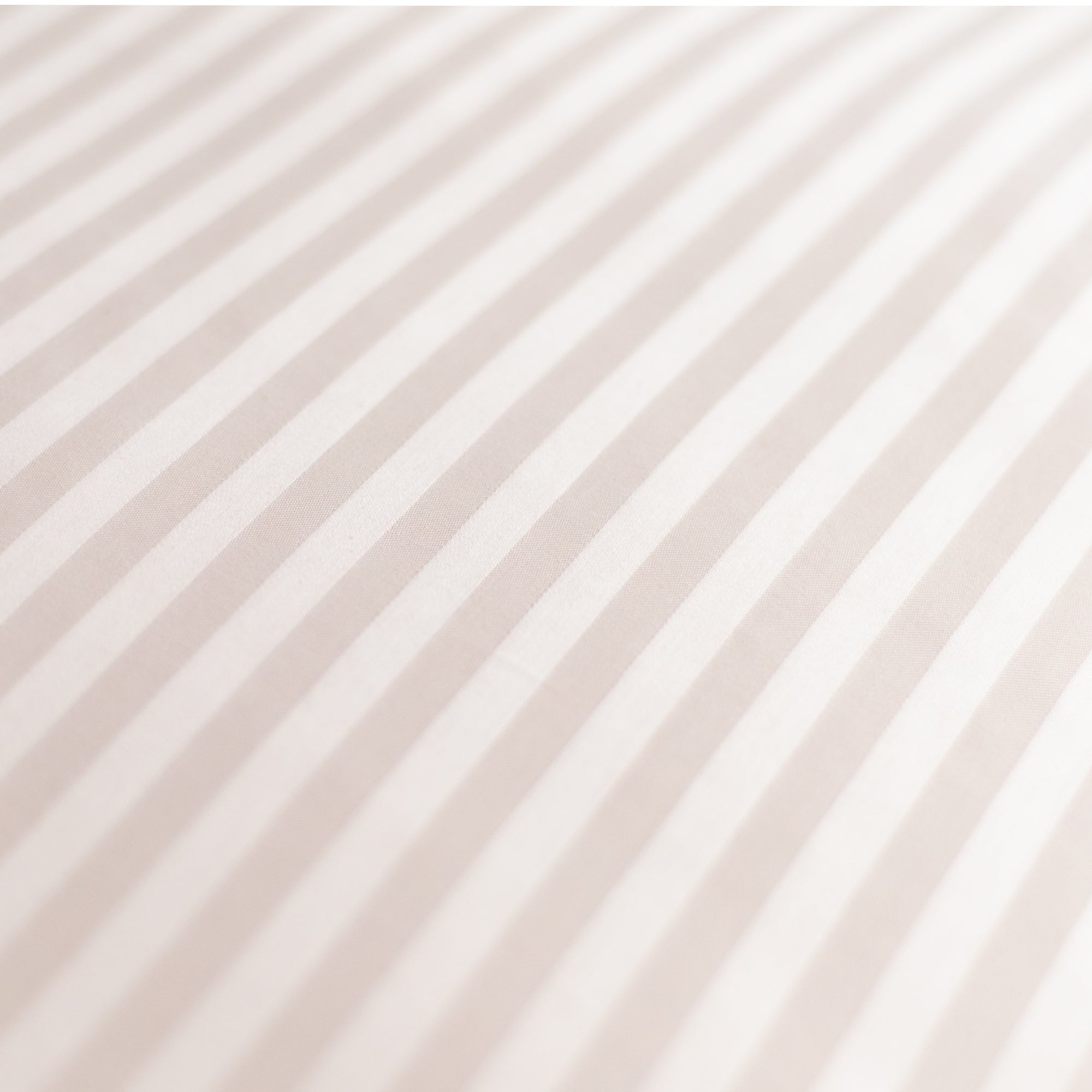 One Piece Cream Striped 100% Cotton Sateen Flat Sheet