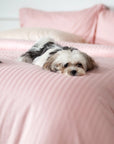 Einteiliger, errötender, gestreifter Bettbezug aus 100 % Baumwollsatin