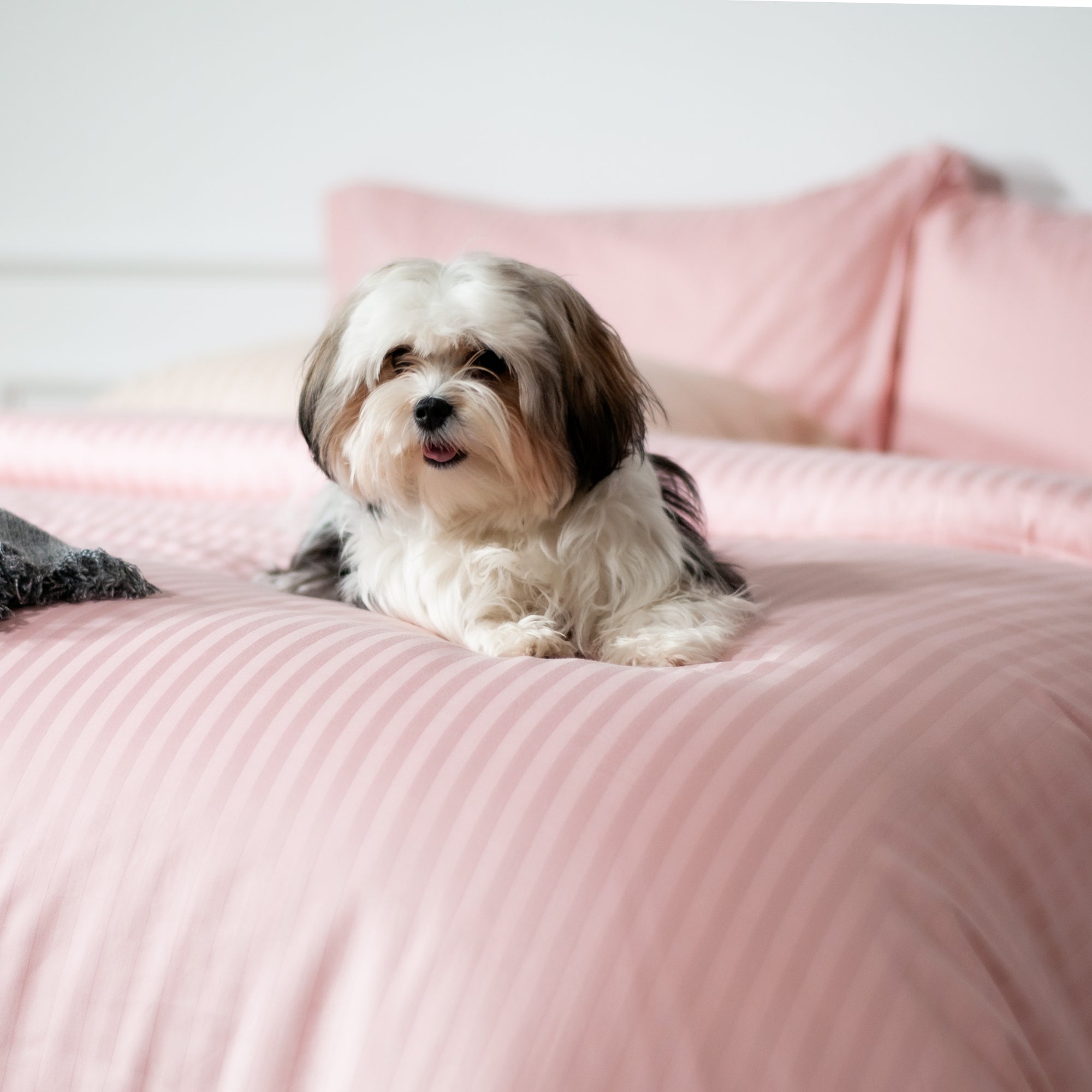 One Piece Blush Striped 100% Cotton Sateen Flat Sheet