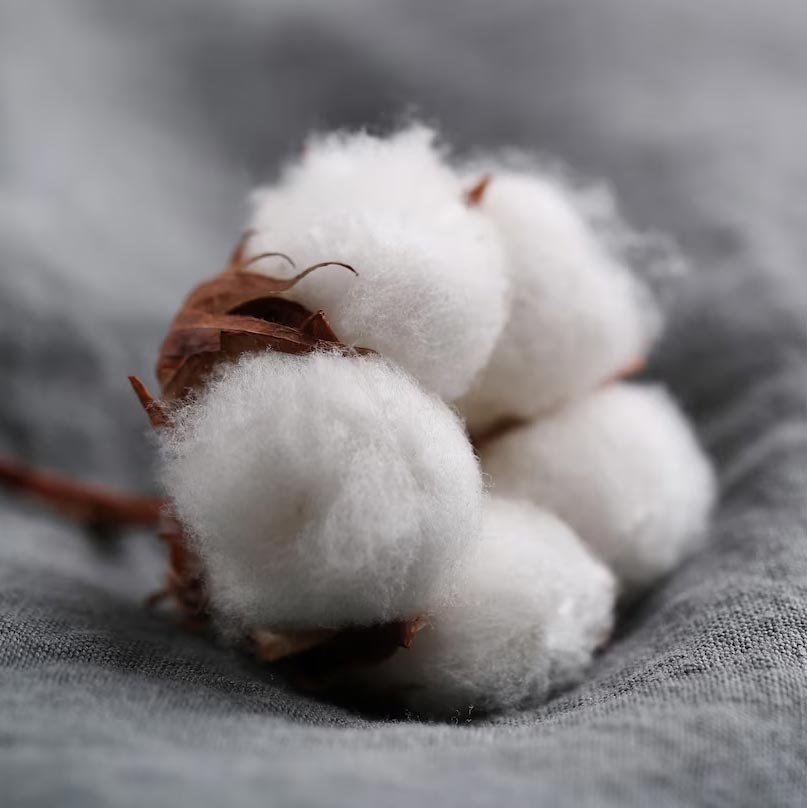 145TC Ranforce Fabric 100% Turkish Long-Staple Cotton